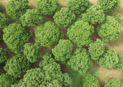 photo video milieu agricole drone intec